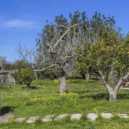 Country house Sa Torreta